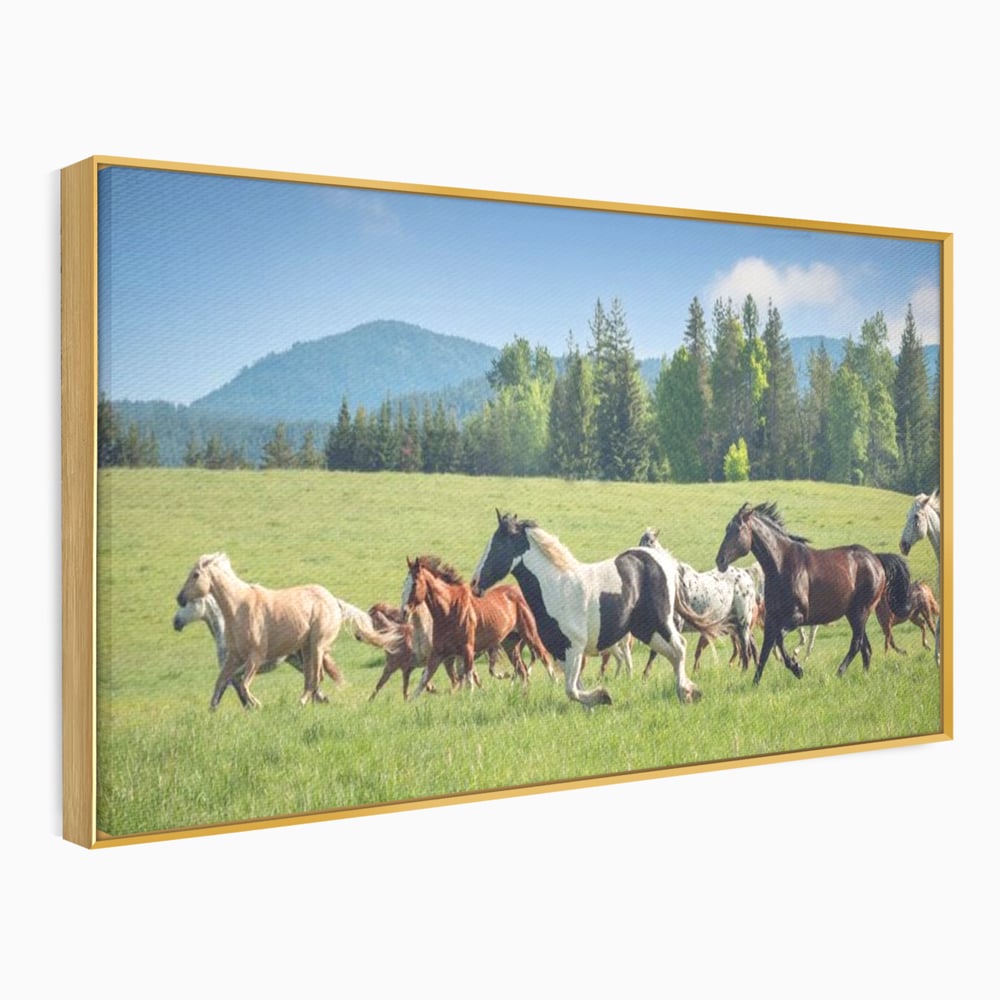 Tablou canvas cu grup de cai care galopeaza pe pajiste, in rama de aluminiu auriu